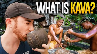 What is KAVA The Mysterious Drink of the Pacific [upl. by Nynahs]