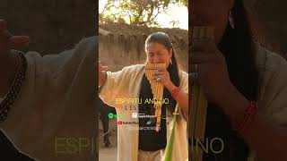 Espíritu Andino 🔥  Atipak Christian Andean Music newage andeanflute nativeartist [upl. by Dombrowski]