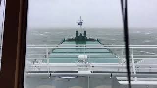 Arklow Venus [upl. by Lacram]