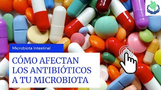 shorts Cómo Afectan Los Antibióticos A Tu Microbiota Intestinal [upl. by Nomyad]