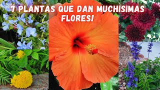 PLANTAS que dan MUCHAS FLORES todo el AÑO 🌹 JARDINES con FLORES HERMOSAS 🌻 FLORES BONITAS 🌺 [upl. by Gottlieb]