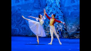 Nutcracker 2022 Metropolitan Ballet SD 480p [upl. by Eidnyl627]