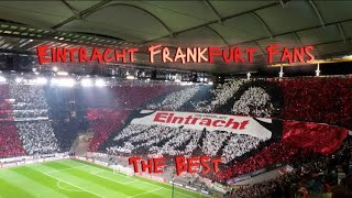 Why Frankfurt Fans are the Best [upl. by Shepherd709]