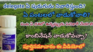 delegate uses in telugu  spinetoram 117 sc  delegate insecticide full information  Delegate use [upl. by Nedlog715]