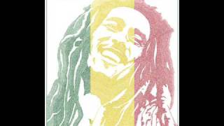 Dj Sunil  Bob Marley Remix [upl. by Odlanra]