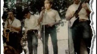 The Teaser Bob Kuban And The InMen 1966 [upl. by Avot128]