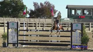 169S Annalise Gudiksen on Western Sky VE JR Novice Show Jumping Woodside October 2024 [upl. by Ehav]