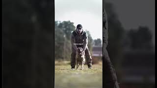 tacticalshooter malinois dog belgianmalinois dogs k9 military foryou germanshepherd usa [upl. by Nottus]