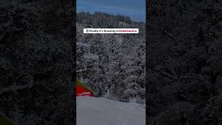 Snowfall Started in KedarKantha Trek December 2024 snowfall manali kedarkanthatrek trekking [upl. by Adnael988]