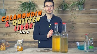 Quitten amp Calamondin Likör herstellen  Teil II  Rezept  Abfüllen [upl. by How]