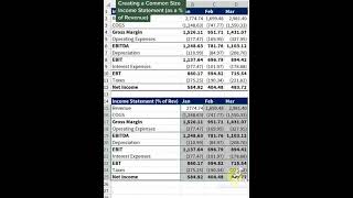 Creating a common size income statement as a  of revenueexcel exceltipsandtricks [upl. by Ylellan]