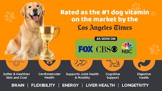 💥💕Premium 10 in 1 Dog Vitamins Multivitamin Chewable💥💕Black Friday Deal 29💥petloverslive [upl. by Nawuj]