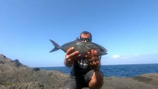 Pesca Spinning Fuerteventura Resumen Agosto [upl. by Itram]