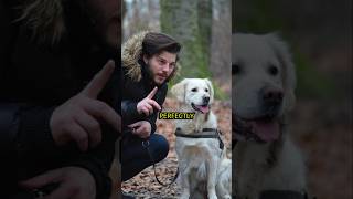 Dogs Can Smell Time shorts viralvideo viralshorts [upl. by Nolly801]