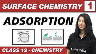 Surface Chemistry 01  Adsorption  Class 12 NCERT [upl. by Eboj51]