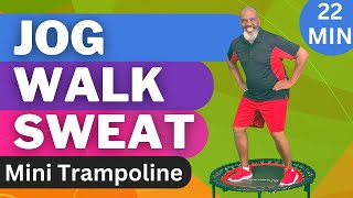 Jog Walk amp Burn Fat on a Mini Trampoline Exciting Fitness Fun [upl. by Idnic964]