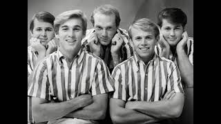 The Beach Boys  Apple Bottom Jeans 1966 [upl. by Assillam]