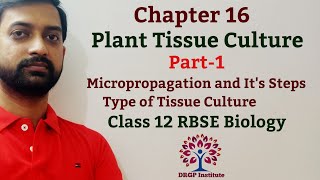 Class 12 Chapter 16 Plant Tissue Culture  Micropropagation Step  Types of Tissue Culture  Part1 [upl. by Namyw712]