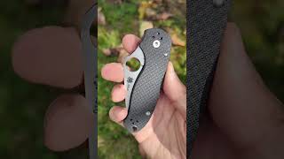 Spyderco Para3 CF 52100 Sprint Run C223CF52100P [upl. by Henryk]