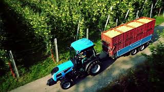 Landini tractors at work in orchards  Landini REX 4 FGT Series [upl. by Adhamh]