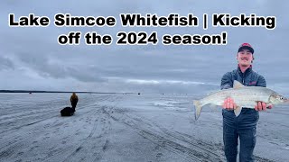 Lake Simcoe Whitefish  Kicking off the 2024 season [upl. by Nahtannhoj682]