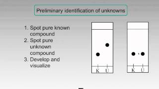 Thin Layer Chromatography  Applications [upl. by Anayek402]