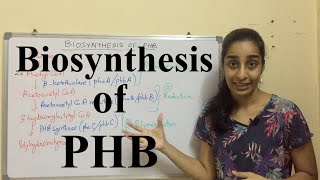 Biosynthesis of Polyhydroxybutyrate  Biosynthesis of PHB  Science Land [upl. by Selry]