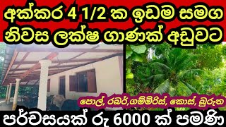 අක්කර 4 12 ක ඉඩම හා නිවස පර්චසයක් රු 6000 කට  House for sale  Land for sale  Pol idam  Gammiris [upl. by Clementi]