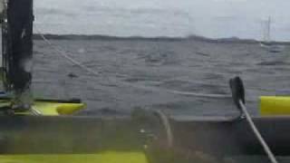 Windrider RAVE Hydrofoil Fast Sailing [upl. by Skier]