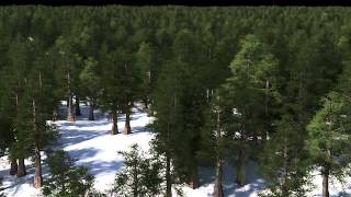 Houdini 130 Speedtree Instancing 50000 Trees 10 billion polys [upl. by Sherry]