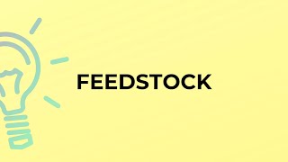 What is the meaning of the word FEEDSTOCK [upl. by Inaej]