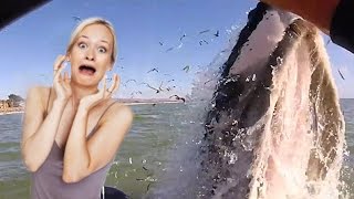 Woman Almost Gets Eaten By A Whale  Caught On Camera [upl. by Kcirrek]