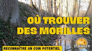 Où trouver des morilles  Un spot et ses indices Saison des morilles [upl. by Adirem]