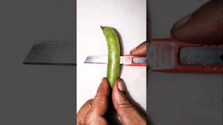 Amazing fruit cutting skills 😁 shorts reels [upl. by Lasser]