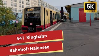 5K Einfahrt der SBahn Linie S41 und S46 am Bahnhof Halensee [upl. by Houlberg]