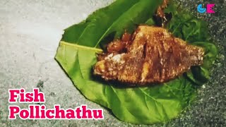 Teak Leaf Fish Pollichathu in OTG  Kerala Style [upl. by Fagin]