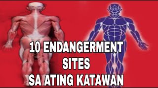 10 ENDANGERMENT SITES SA ATING KATAWANMASSAGE Emskelly endangermentsites footmassagehealing [upl. by Tremayne]