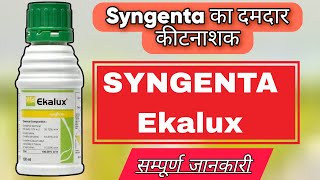 SYNGENTA EKALUX INSECTICIDEEKALUX INSECTICIDEQuinalphos 25 ecA2 FARMING ekalux [upl. by Dorcia]