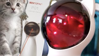 CAT LASER LIGHT POINTER INTERACTIVE TOY for your cat to play  FROM AMAZON [upl. by Kursh605]