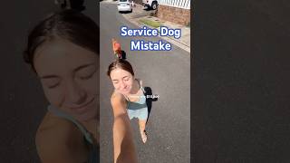 Service Dog Mistake workingdog servicedog dogtraining [upl. by Mezoff]