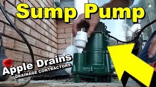 How To Replace Your Pump with Zoeller M98 [upl. by Gordy852]