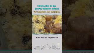 Introduction to the priority flotation method for tungsten ore flotation [upl. by Margeaux]