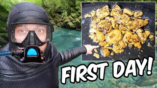 Hookah Diver Discovers Pile Of GOLD In New Zealand [upl. by Rodman]