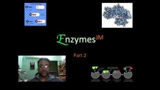 Enzymes JM Part 2mov [upl. by Beaulieu]