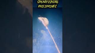 ACTUAL FISHING IN THE PHILIPPINES NIGHT DIVING ADVENTUREshorts fishing kabaitv spearfishingph [upl. by Carthy]