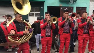 El huitzuqueño Banda Monarca [upl. by Ahseiyk]