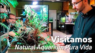 Un Recorrido por Natural Aquarium Pura Vida  Tienda de Acuariofilia 🐠🌿 [upl. by Yrahk]