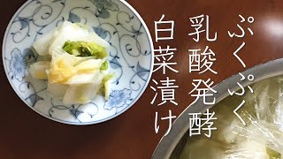 カンタンすぎる！ぷくぷく白菜漬け＆乳酸発酵白菜鍋 ＃乳酸発酵＃白菜漬け＃腸活レシピ [upl. by Yerbua]