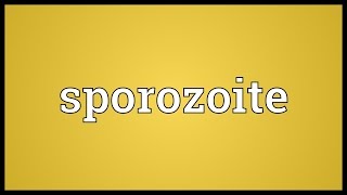 Sporozoite Meaning [upl. by Coreen78]