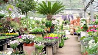 Horsfields Plant Nursery  Silkstone [upl. by Dnalyag]